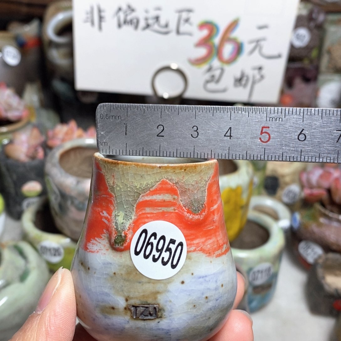 花盆拍5送一个小礼物
