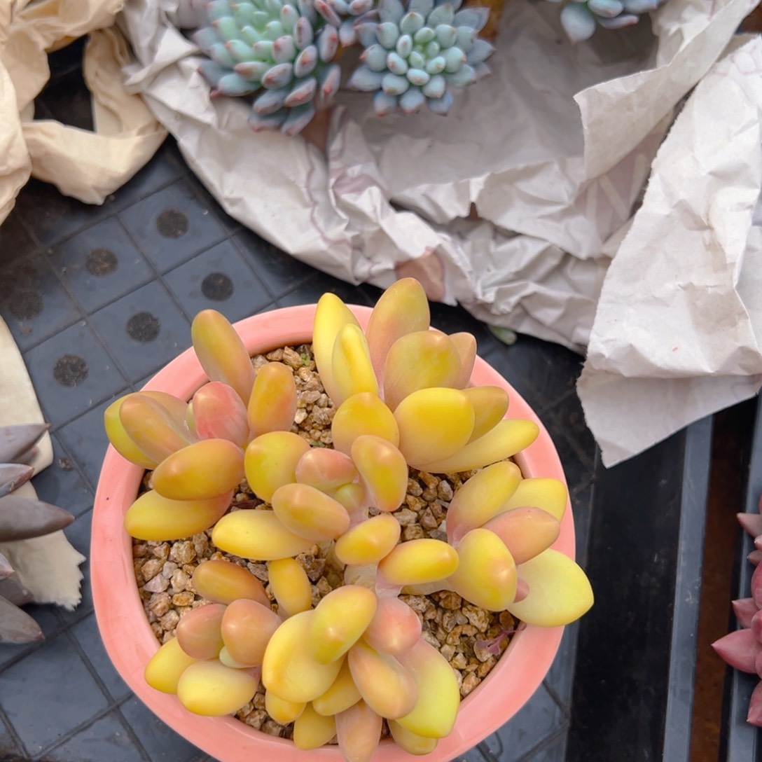 11211111111111111111111