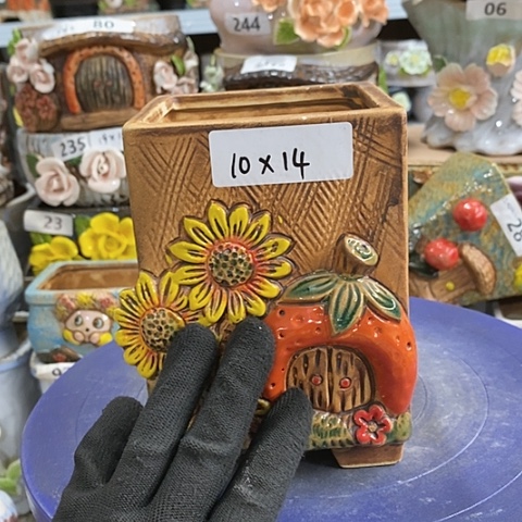 【闪购商品】红陶。