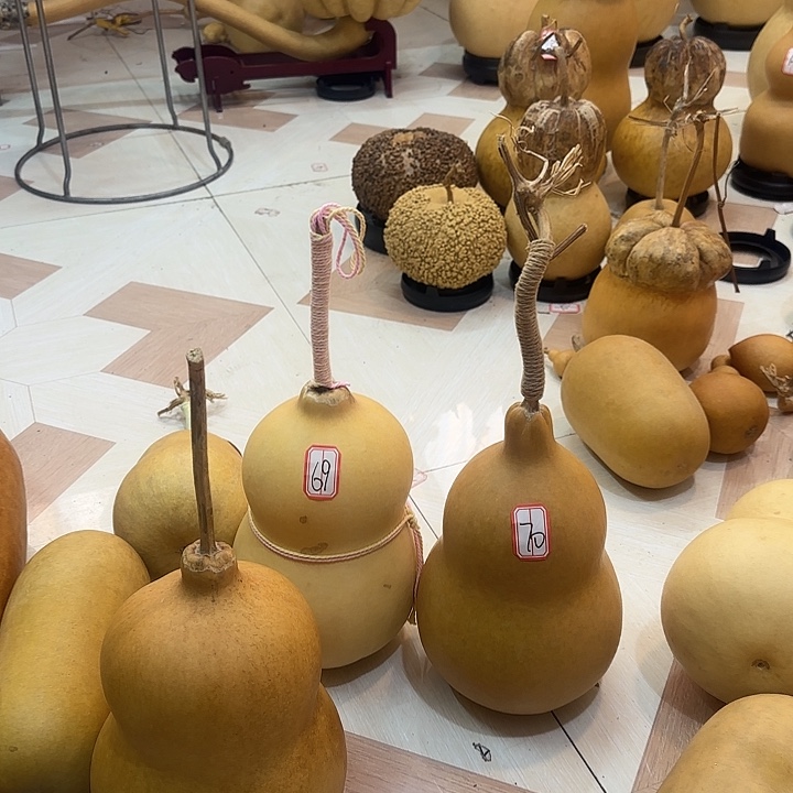 婳***111111111111？1111