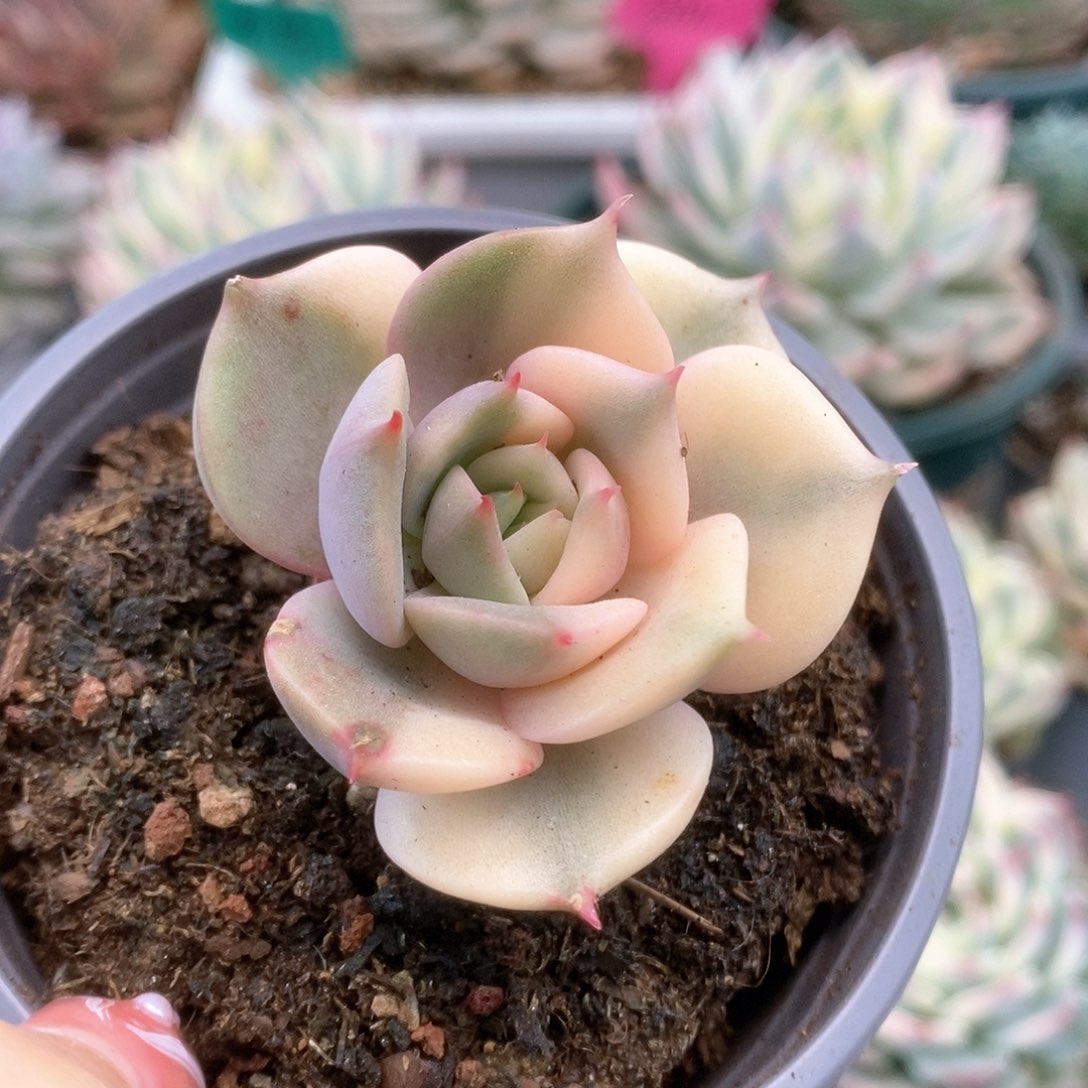 140贝加尔湖锦锦锦锦