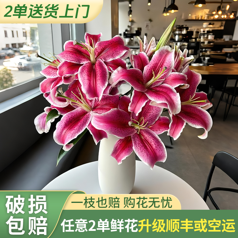 【两个老六卖花花】黑美人百合 任意2单升级快递 发货后不支持退款
