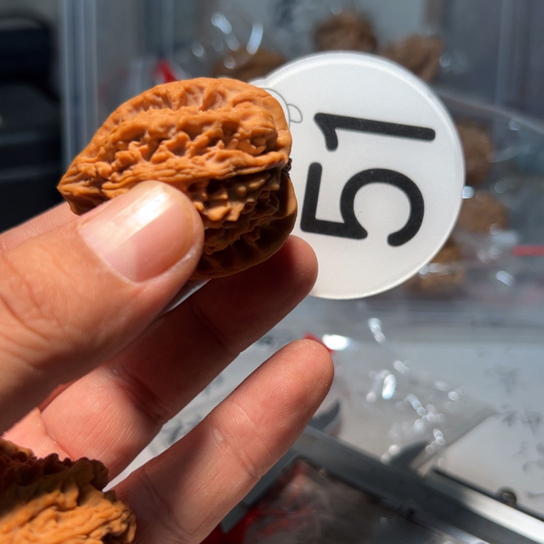 ✘***文玩核桃，白色51号