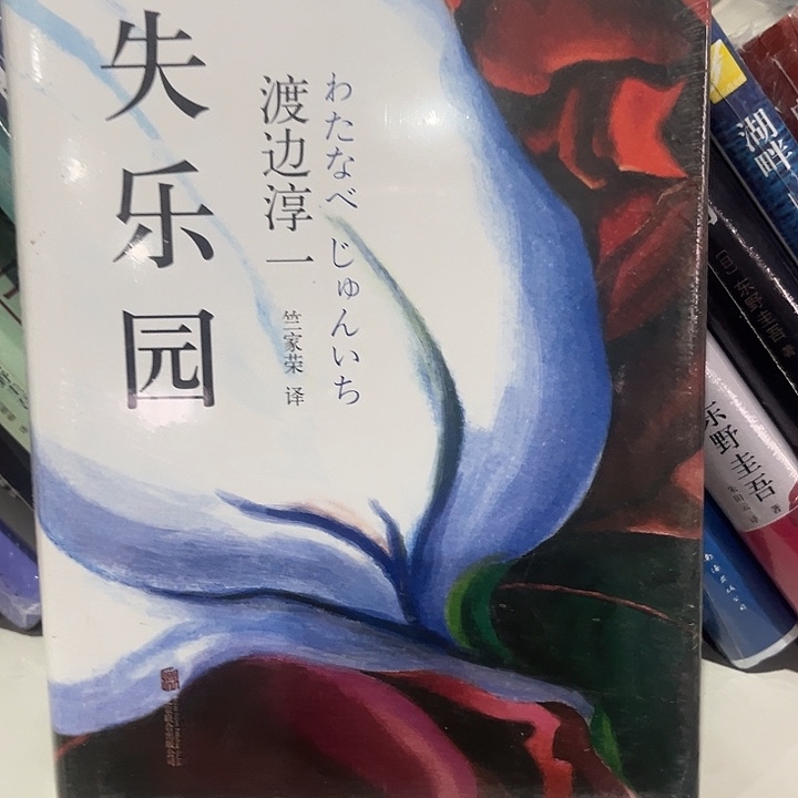 失乐园新书推荐精装