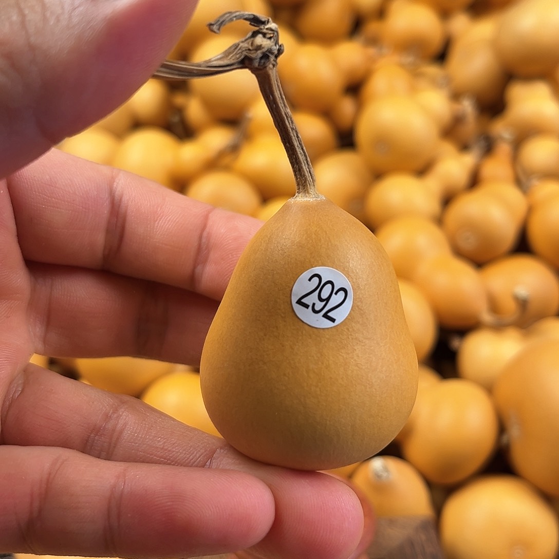 五葫芦葫芦葫芦葫芦292