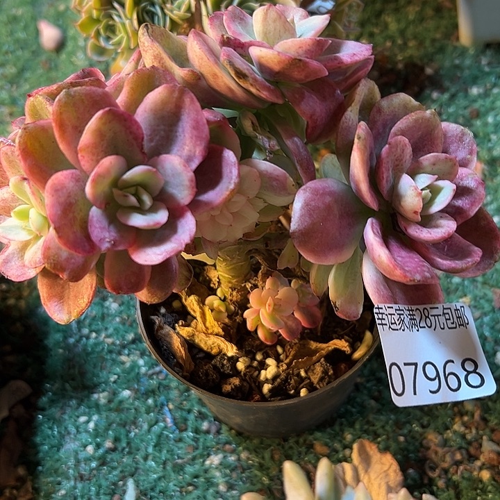 幸运的是我还没遇到过