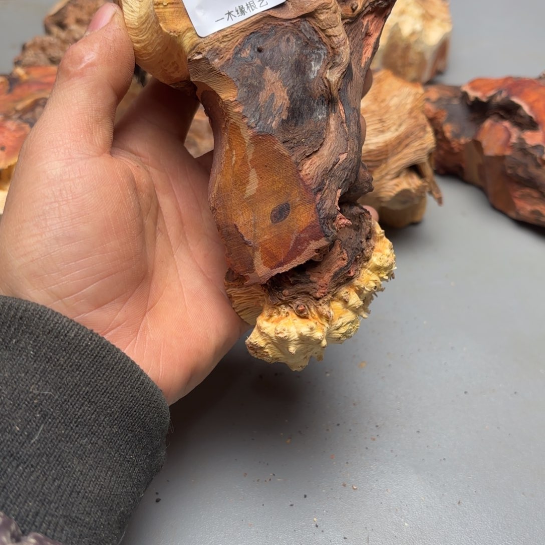 君***程无花朵         203