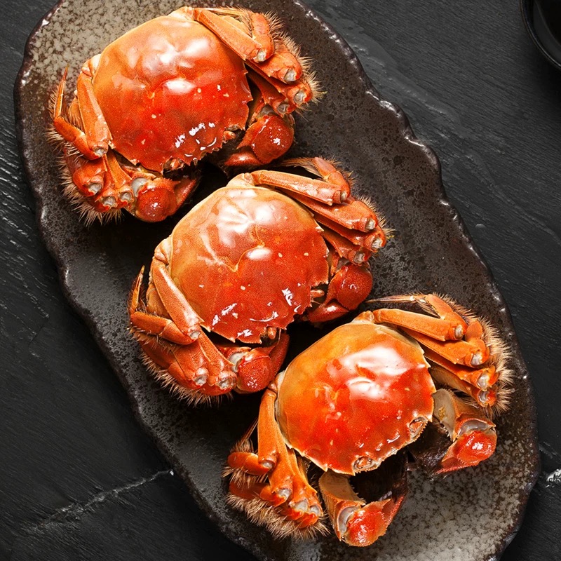 【活蟹现发】鲜活大闸蟹 公母对半 公蟹6两母蟹5两共10只装 京东冷链死蟹包赔