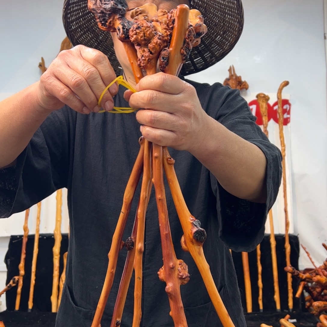 黑果木其他黑果木476