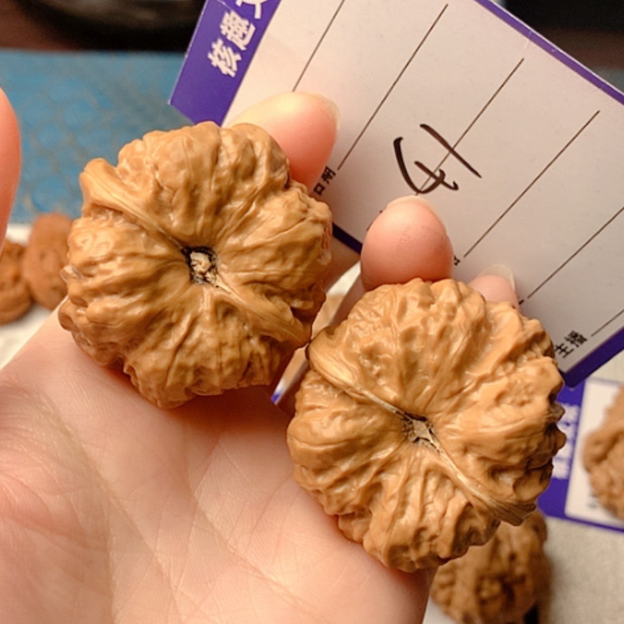 【闪购商品】文玩核桃把件蛙蛙