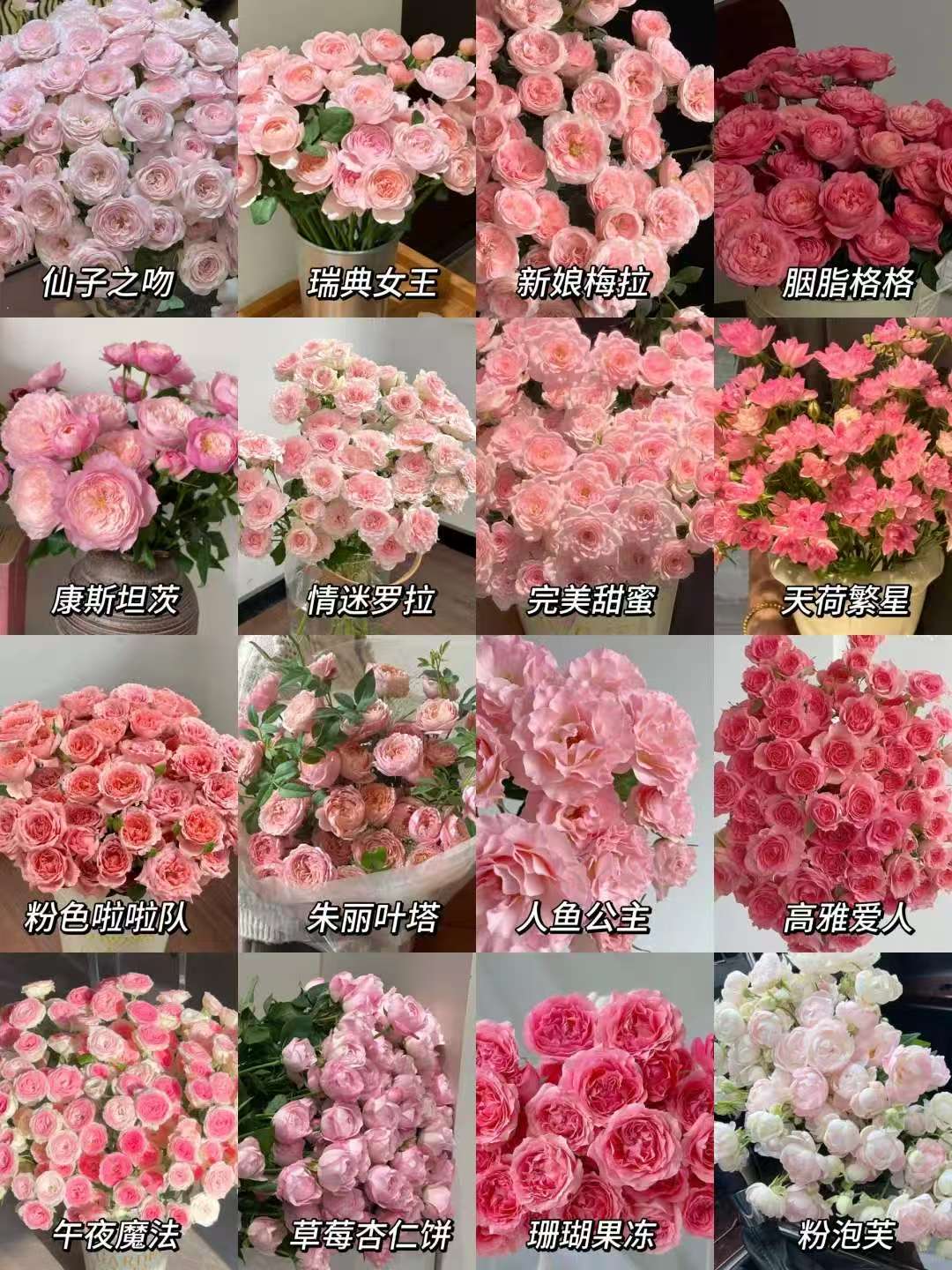 【随机多头玫瑰】云南昆明鲜花基地优质鲜切花