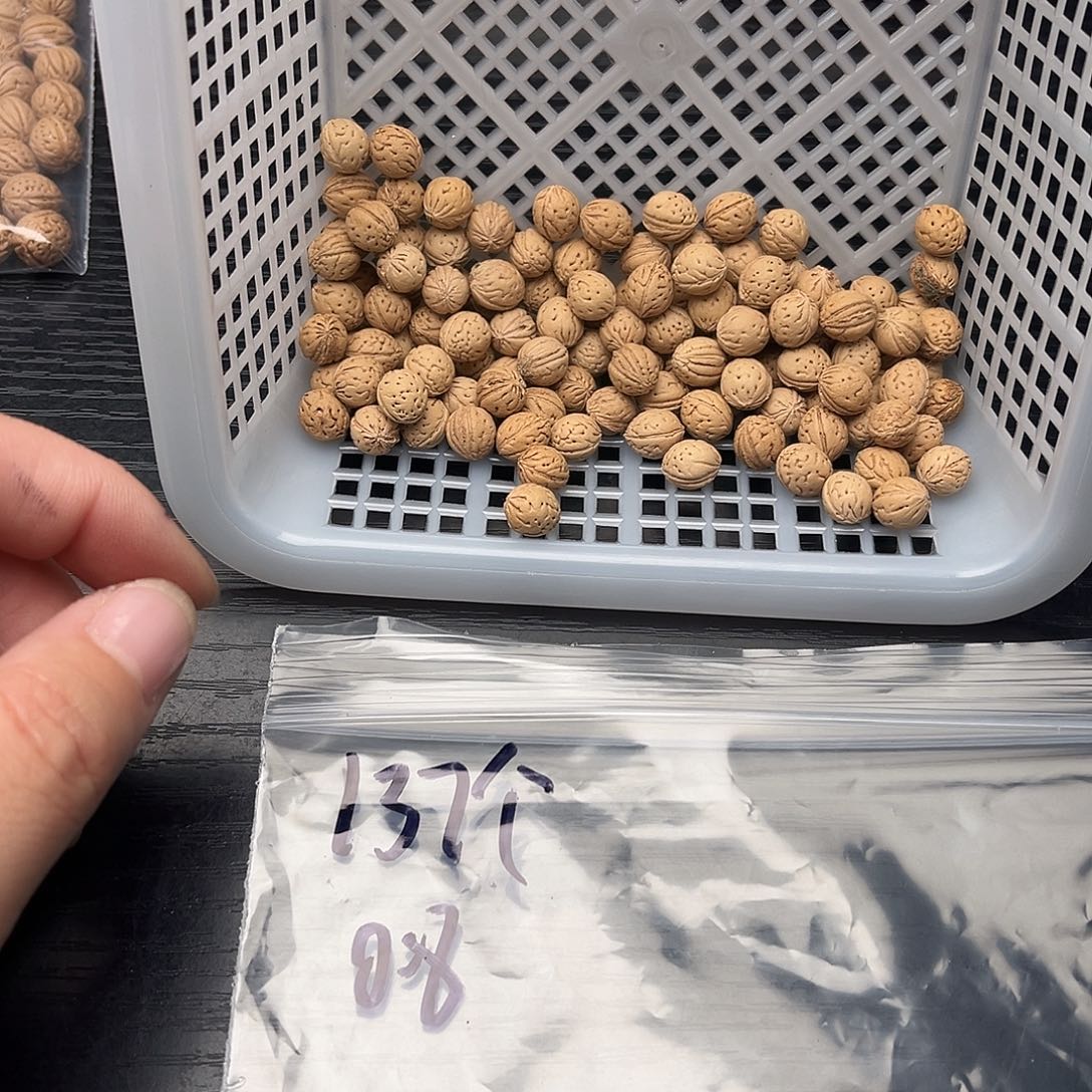 A***。核桃手串/手链散籽发货220不退不换