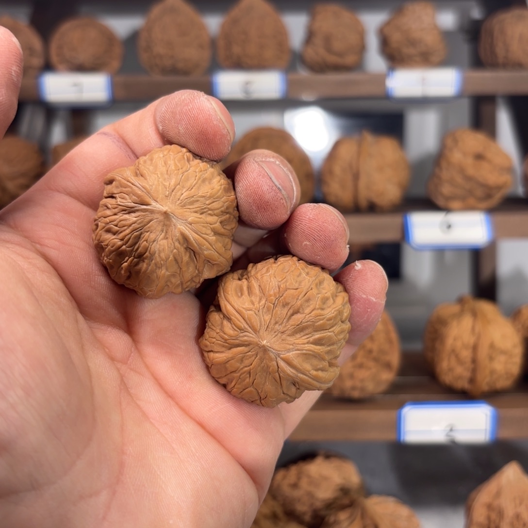 東***東把件文玩核桃35铁锤