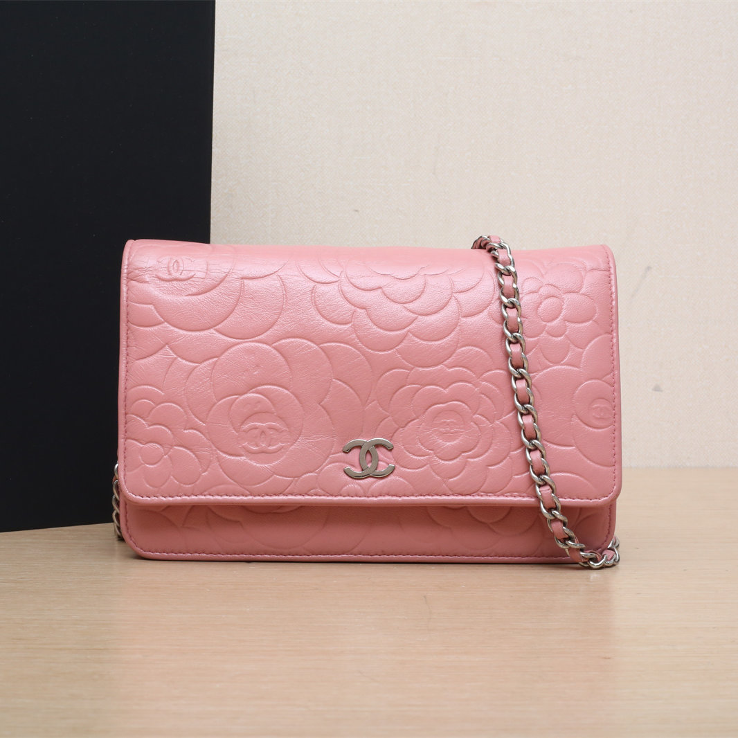 95新 Chanel/香奈儿 【娇】CF WOC 19 皮革C 16开 银扣 399784
