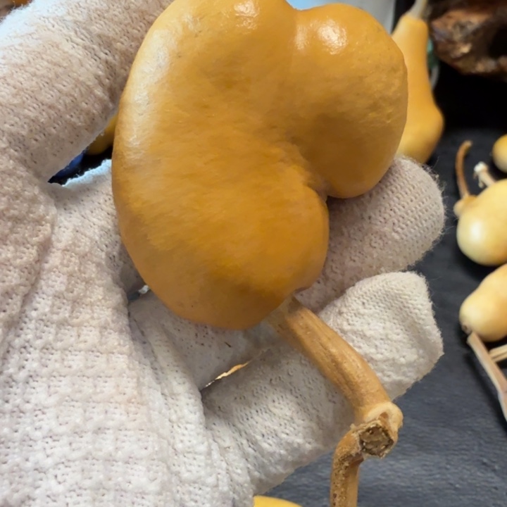 D***:66666666666777777777