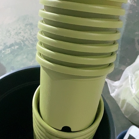 树脂四季1号10个无托果绿