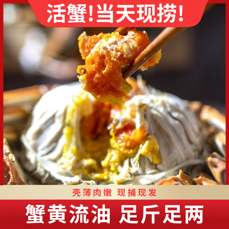 【活蟹现发】精品大闸蟹全母蟹3.6-3.3两 10只鲜活螃蟹
