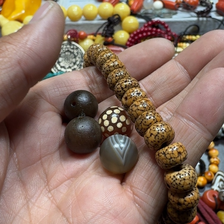 星月菩提吊坠小*菩提树等树木的生长发育和生长