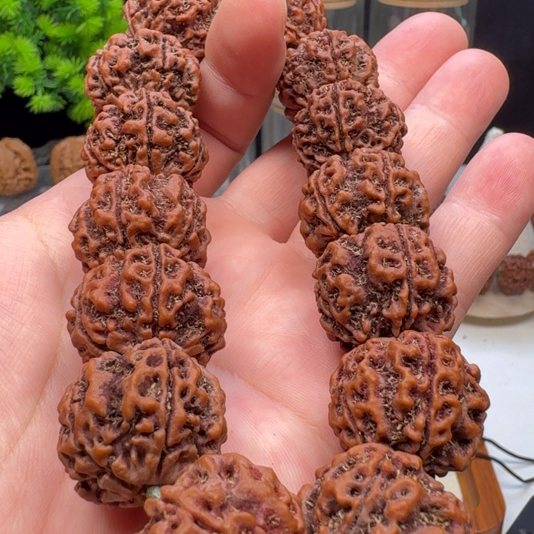 手串金刚菩提大粗筋蜂窝双龙
