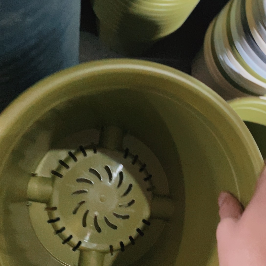 果绿色4号不积水