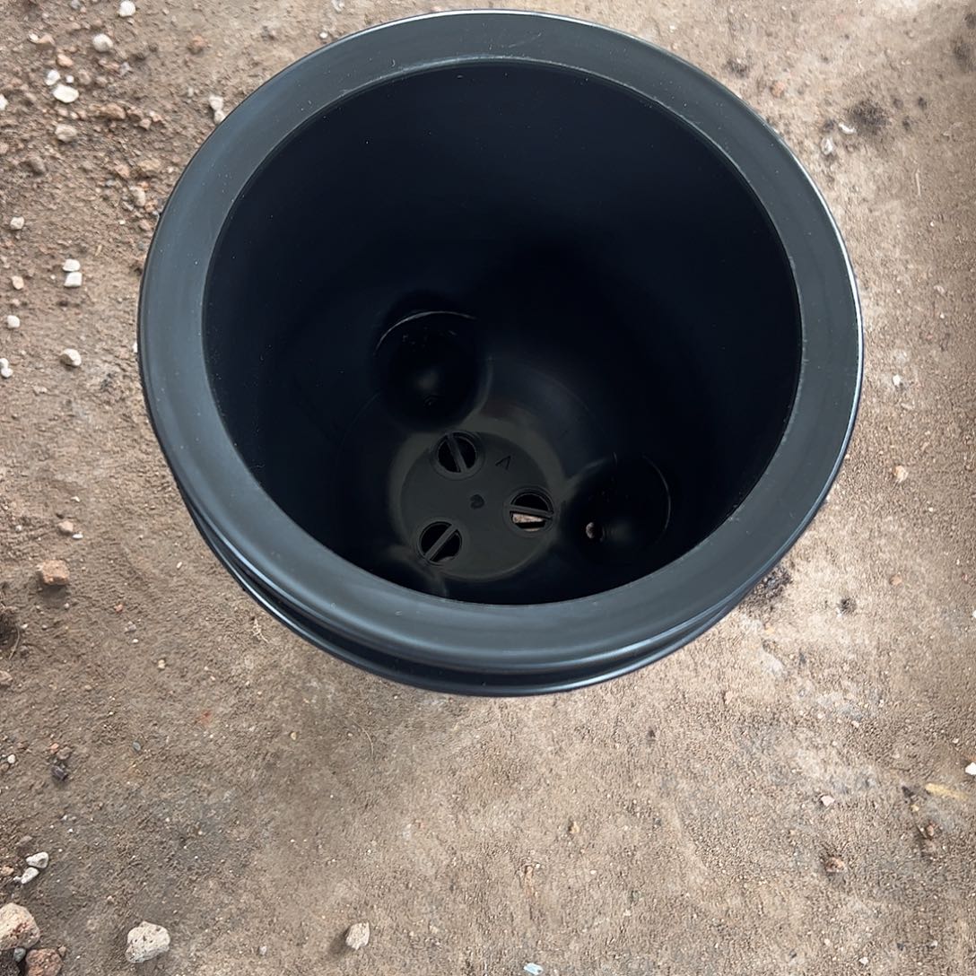 三足盆10个内径12.5公分25.8