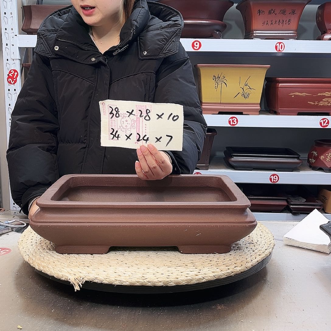 花盆紫砂紫砂花盆里