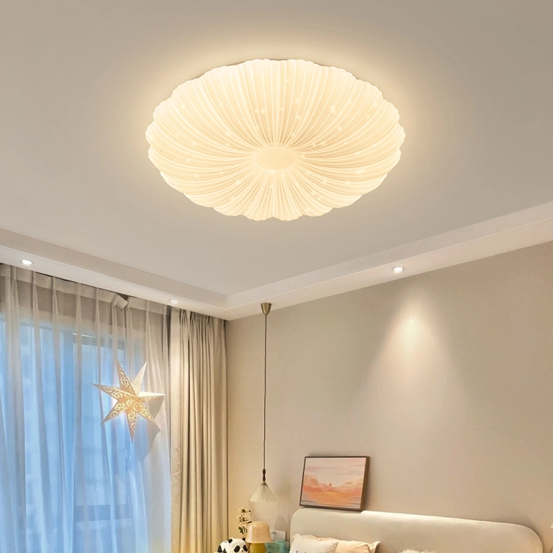 房间灯LED卧室灯 吸顶灯现代简约男孩女孩花朵护眼儿童房主卧灯