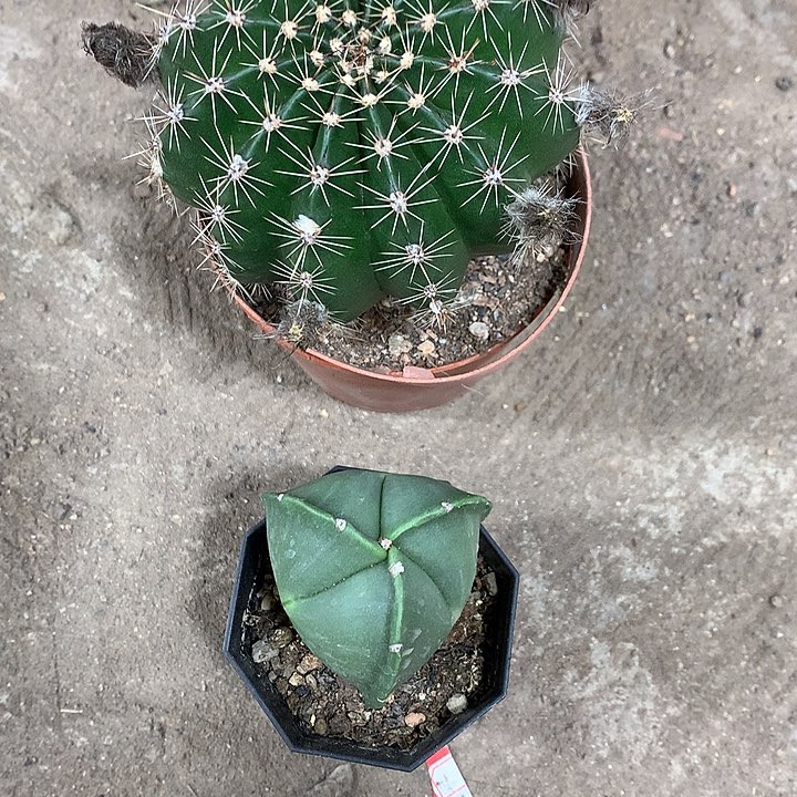 好****o3333333333333333