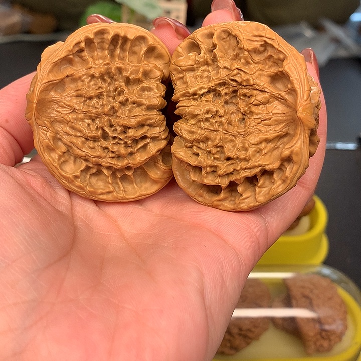 文玩核桃吊坠50蛇王