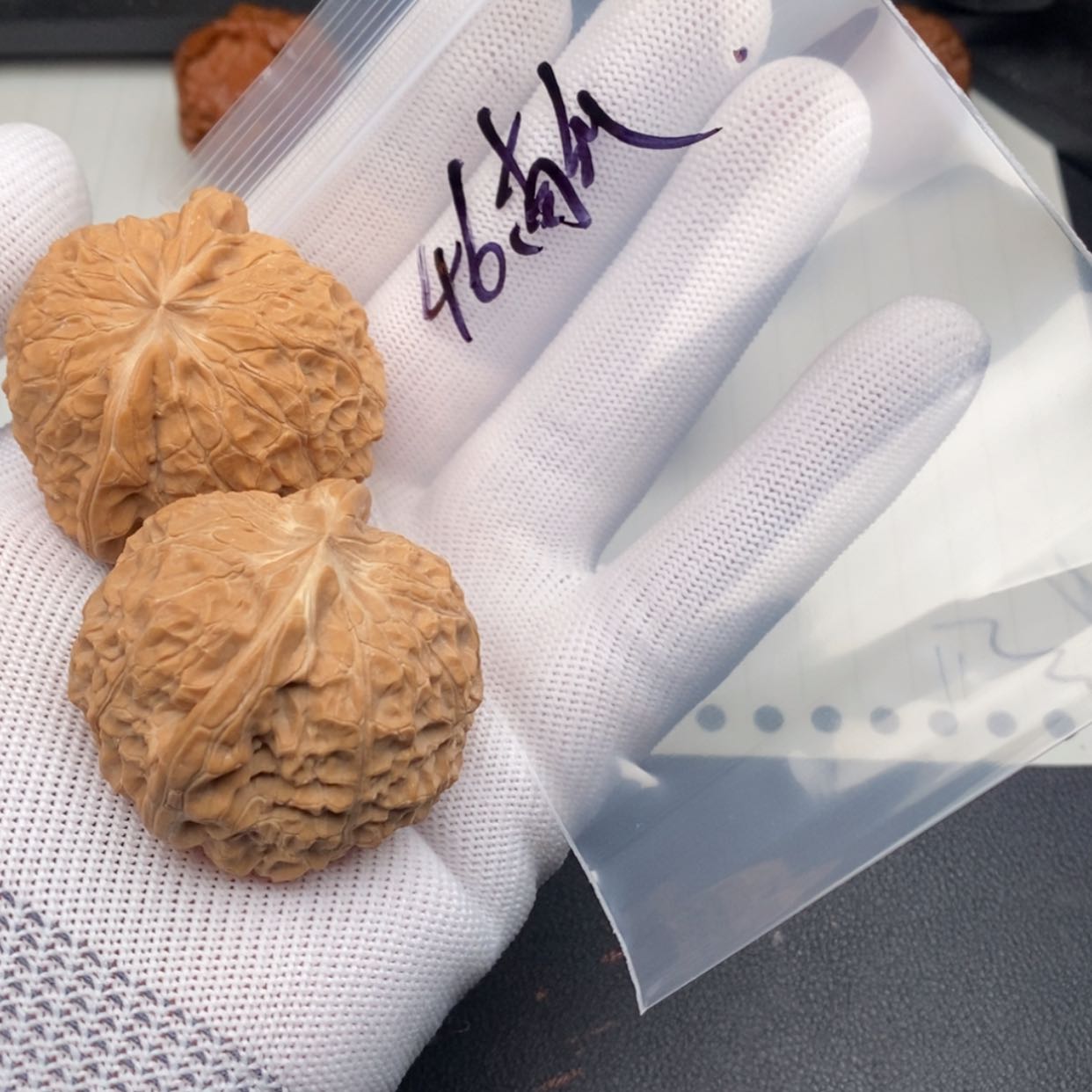 【闪购商品】文玩核桃吊坠南瓜