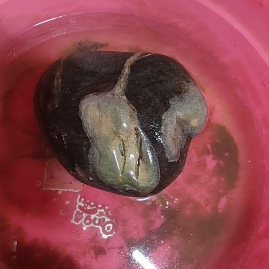 周***周有机玻璃奇石摆件观赏