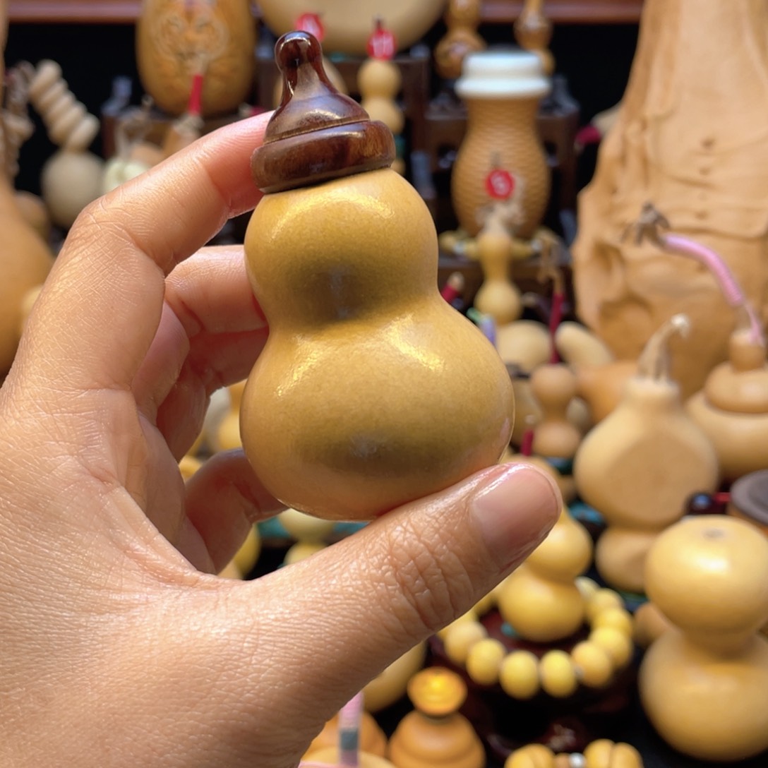 一*大自然的秘密第十一章