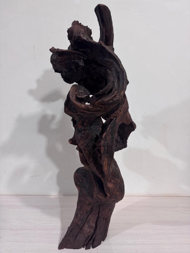 中型鱼缸精品紫柚木螺旋树桩沉木可用于鱼缸造景室内装饰