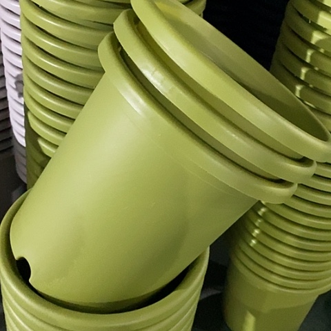 树脂四季7号果绿无托6个