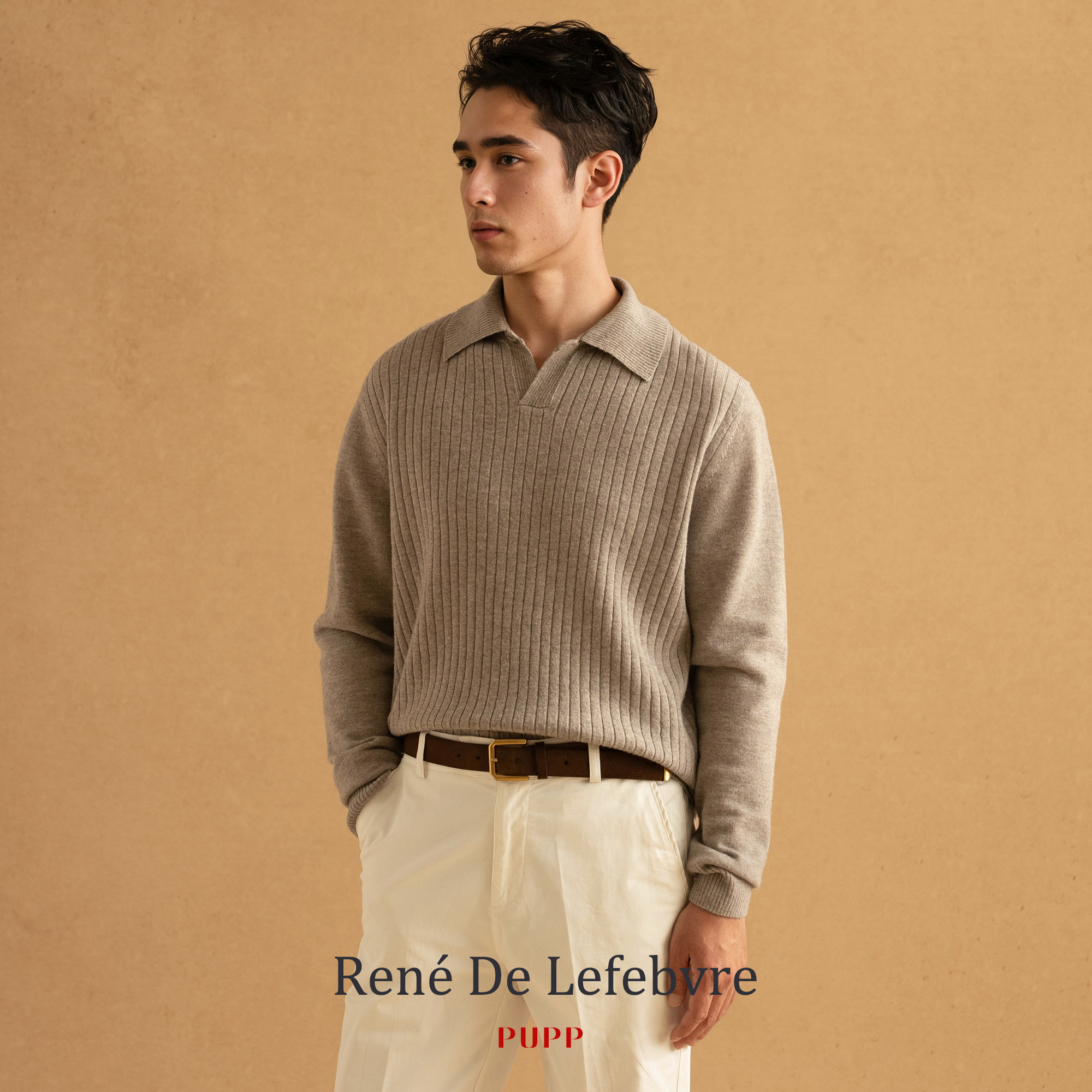 René De Lefebvre秋冬季长袖套头海鸥领条纹纯色男士羊毛针织毛衣