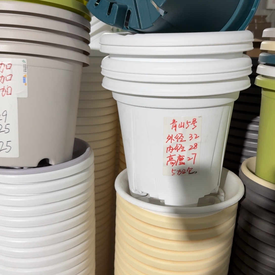 青山5#口径32无拖纯白5个