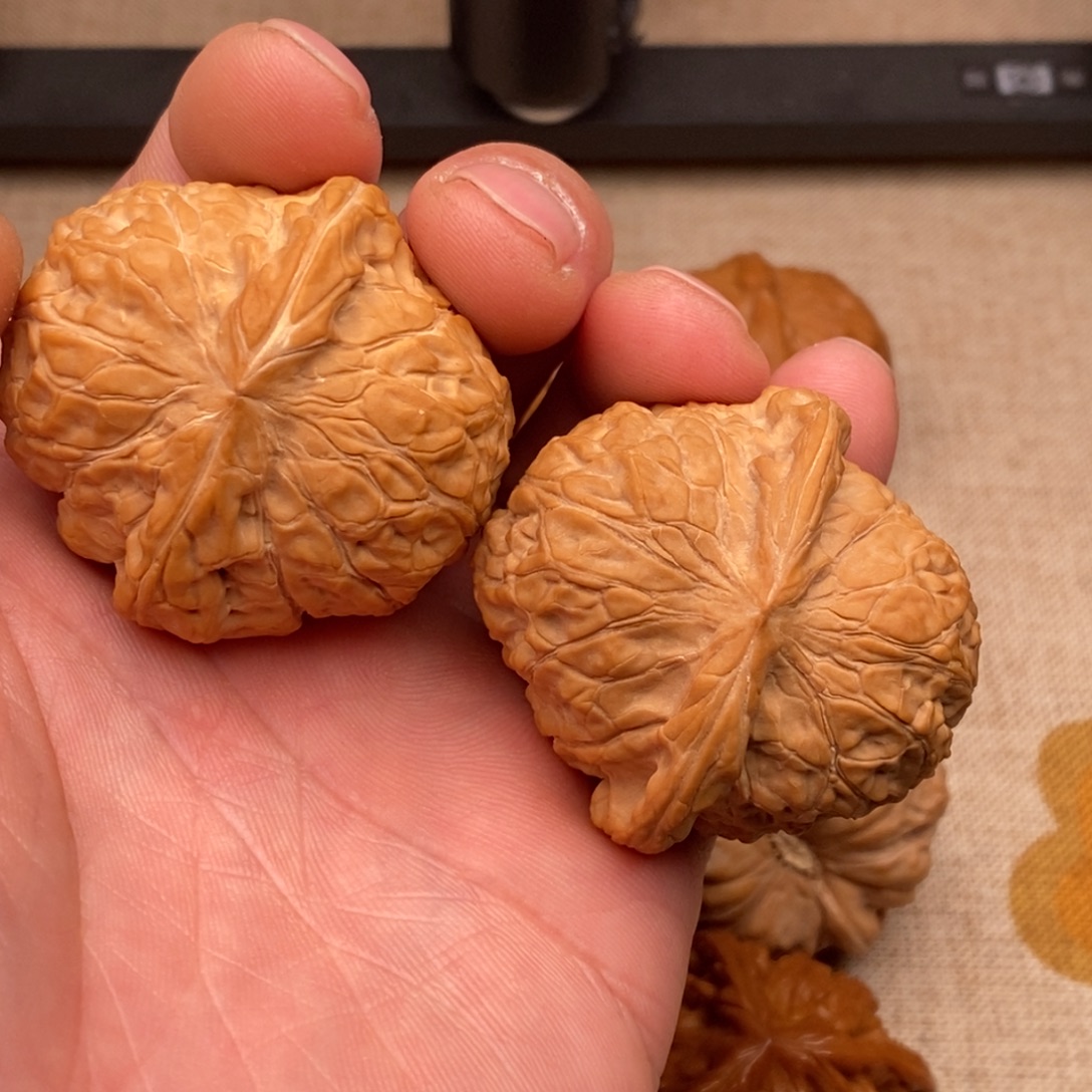 3***644南瓜南瓜南瓜南瓜