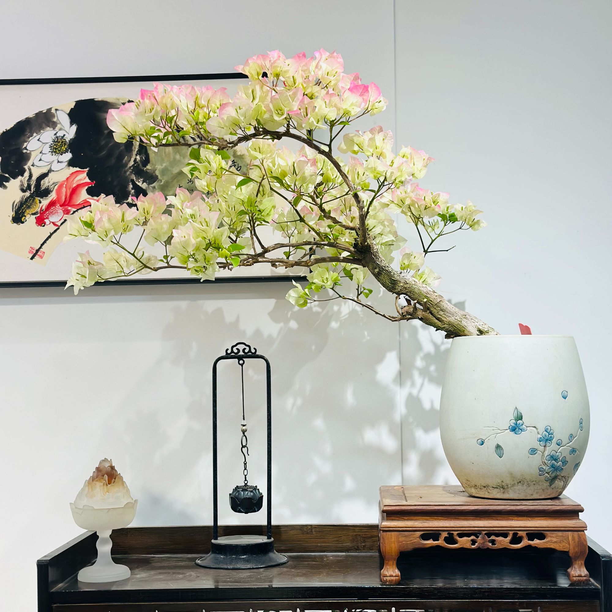 精品三角梅绿樱造型盆景客厅阳台造型盆景勤花高端老桩四季花