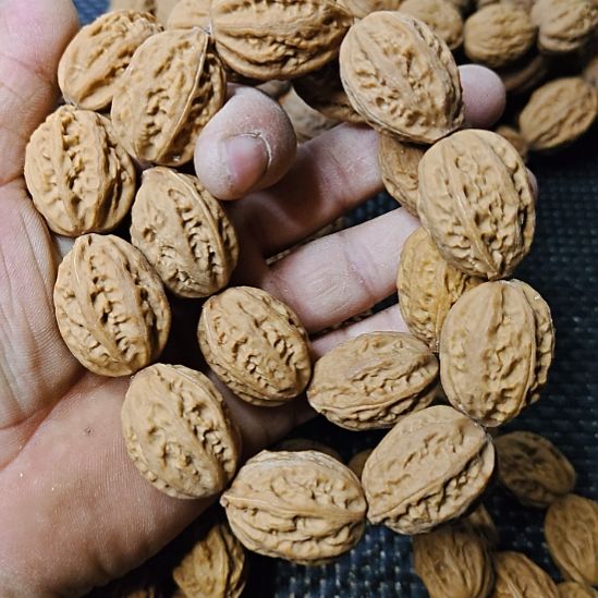 董***爷吊坠文玩核桃纯野生山核桃