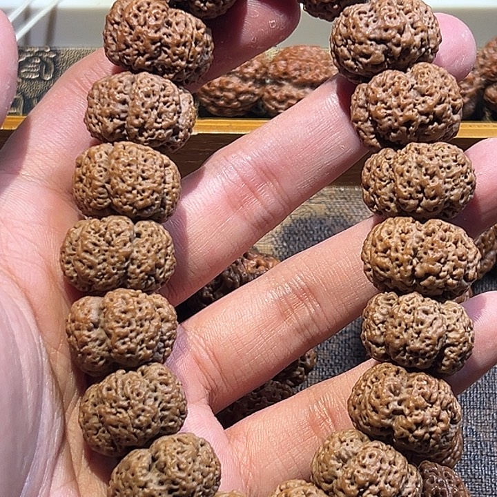 起***名金刚菩提吊坠五爪金龙
