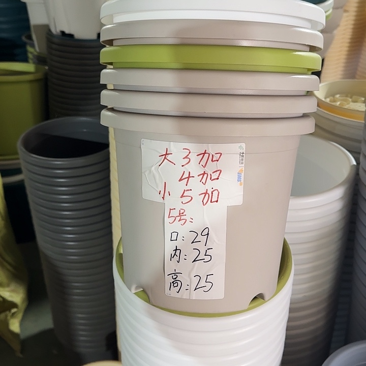 四季5#口径29灰白10个无托