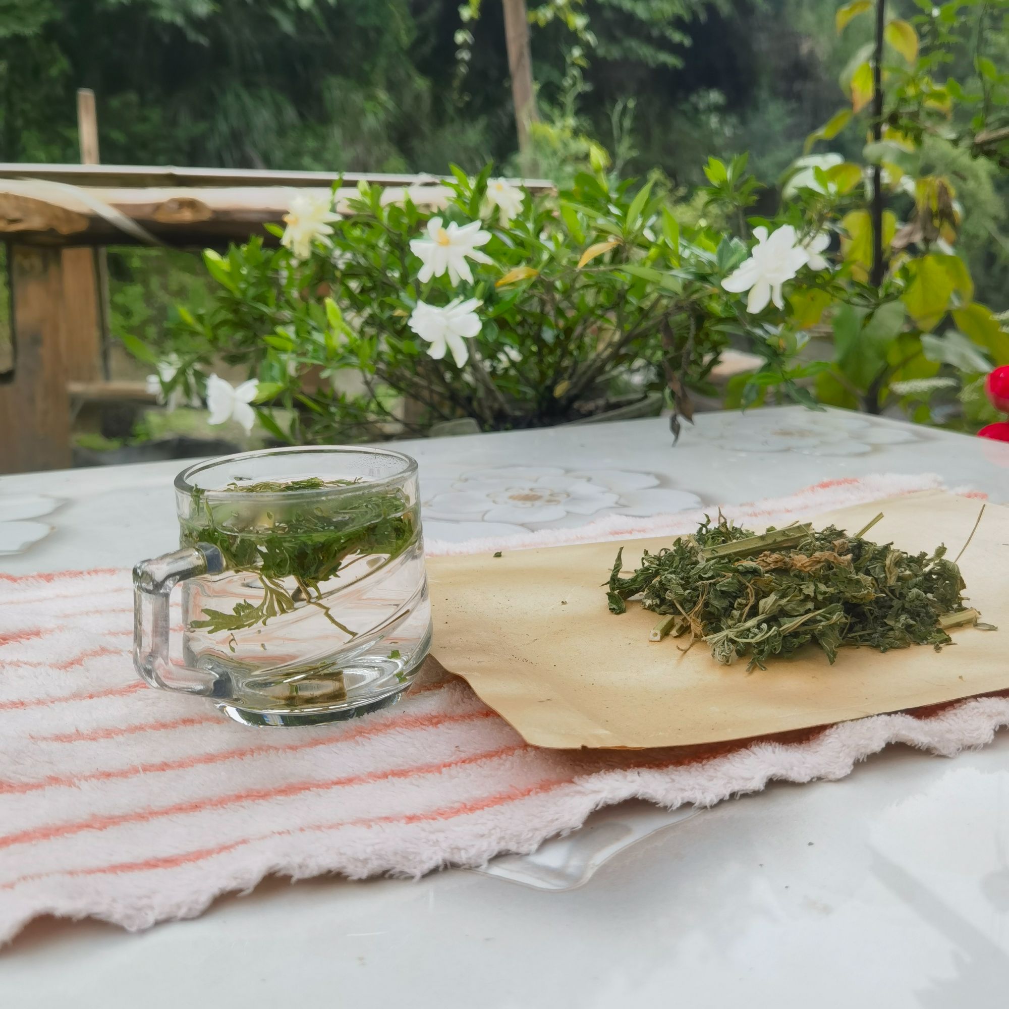 野生益母草干益母草切碎晒干泡水煮水