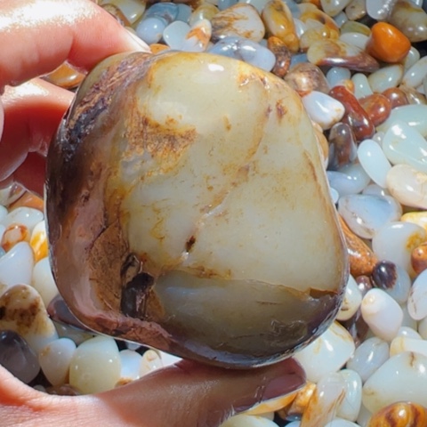 和田玉（糖玉）手链未镶嵌13