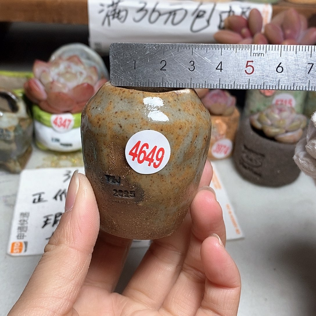 红陶拍5送一个小