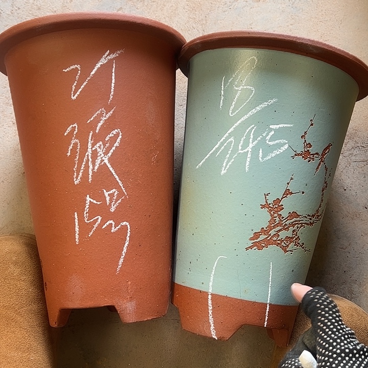 15号宜兴紫砂花盆特惠