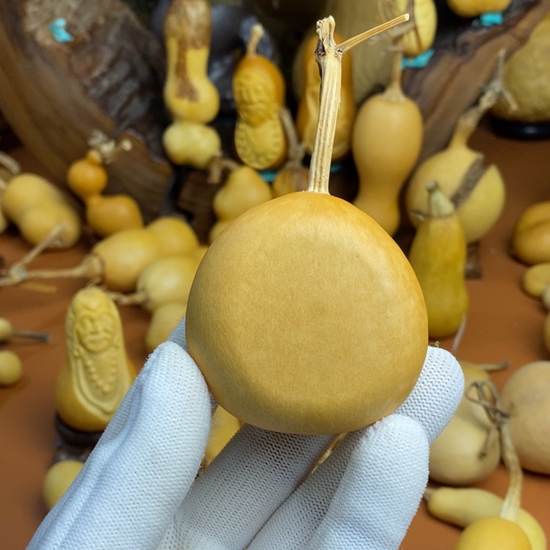 吳****教练路途哭教练咯教练