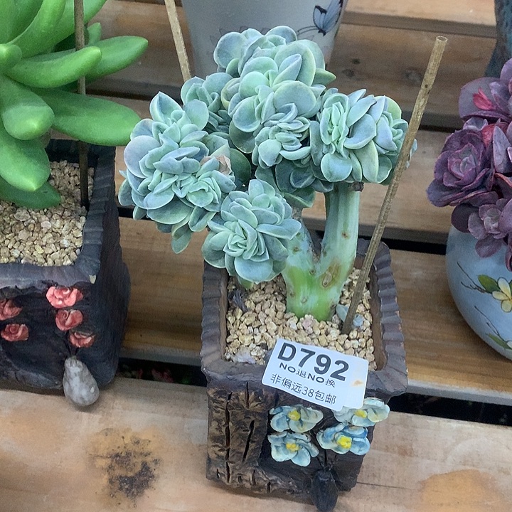 *****可爱玫瑰缀化 792 清货处理 退款拉黑