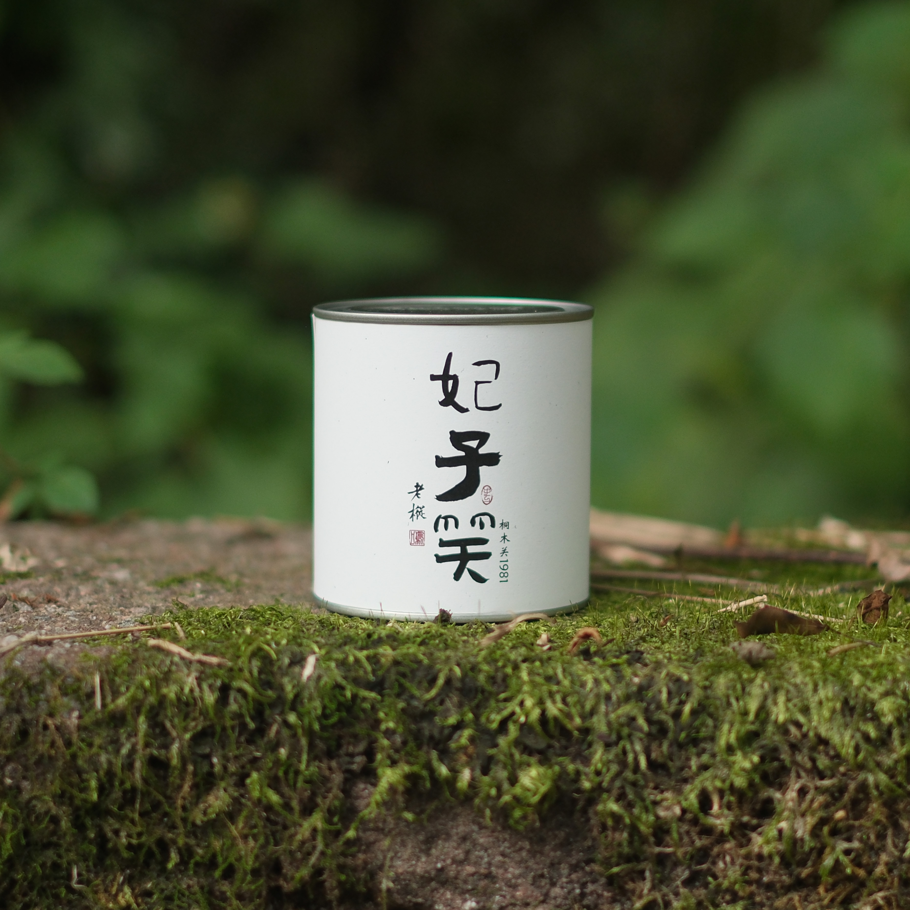 坑涧先生【老枞妃子笑】 武夷红茶 桐木关头春头采 全体种荒野50克