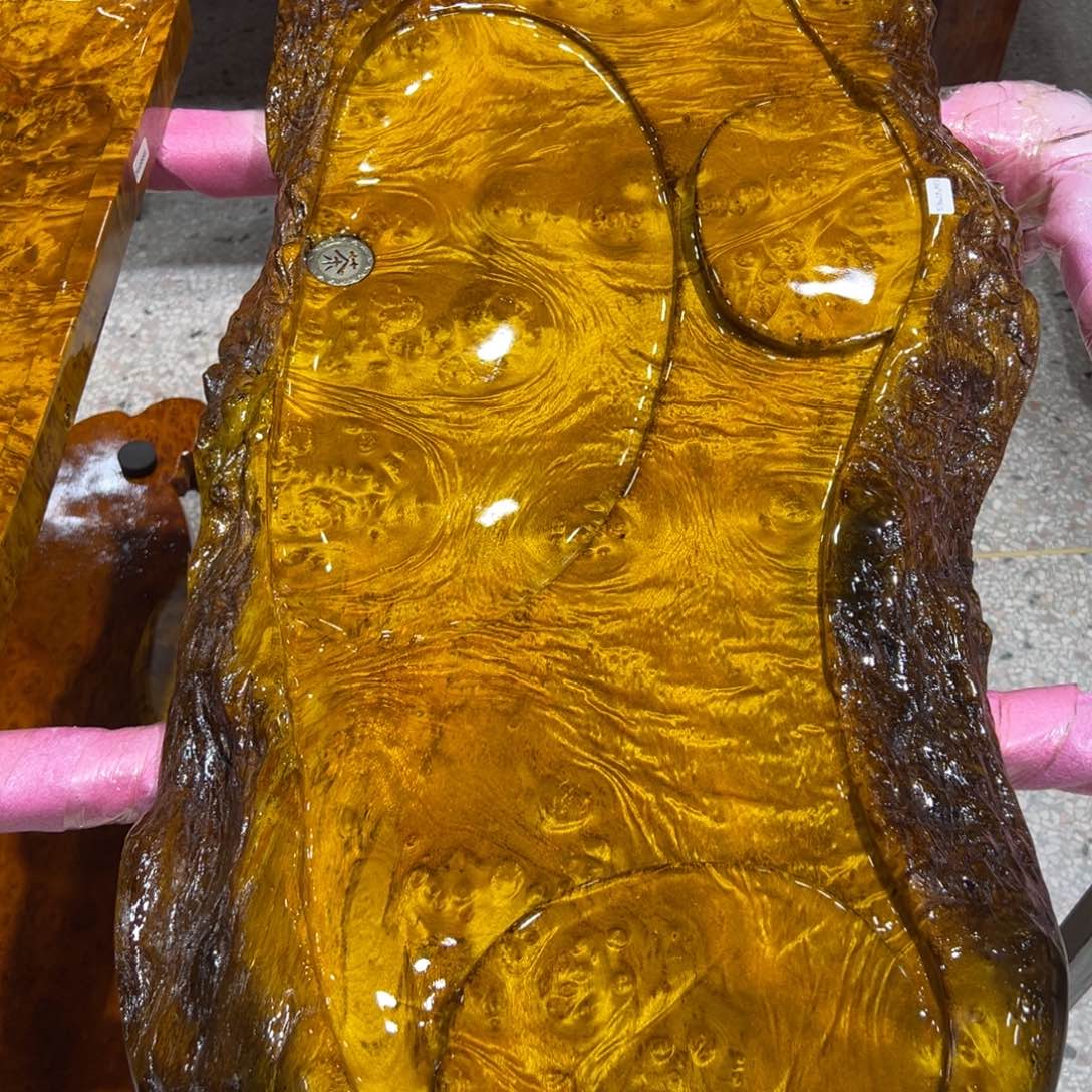 道*黄金樟888888888778888