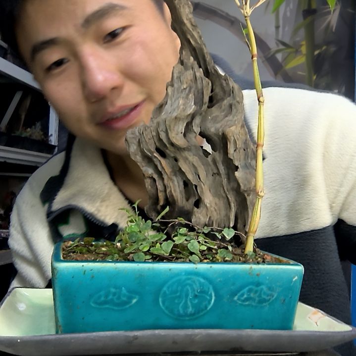 3***2中青园艺一物一拍花99